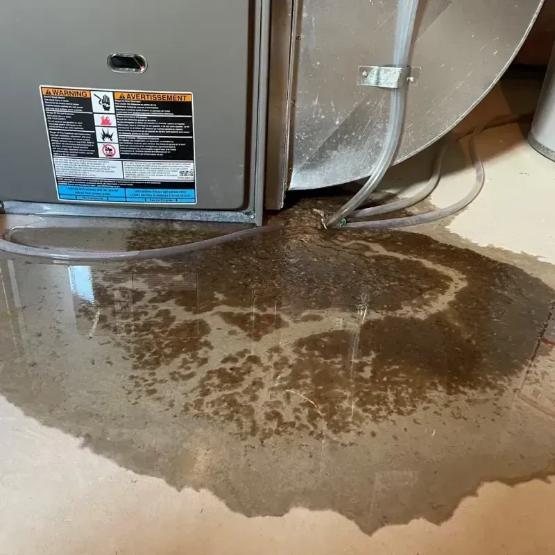 Appliance Leak Cleanup in Tonopah, NV